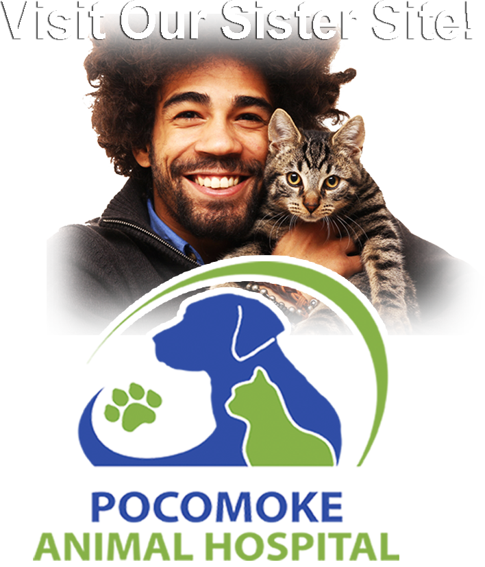 Visit Our Sister Site, Pocomoke Animal Hospital